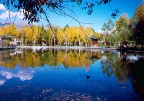 Tibet